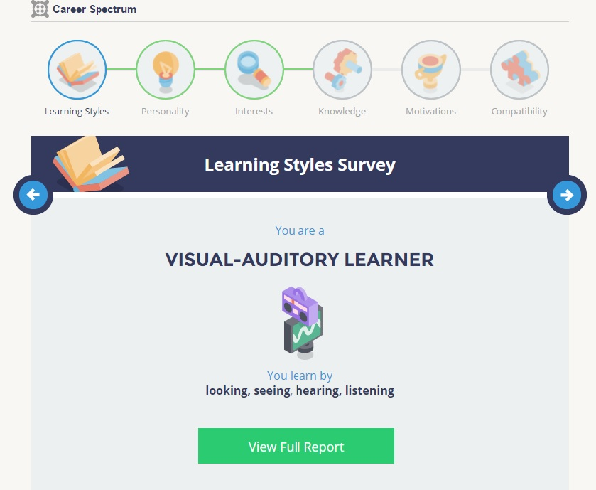 Learning styles survey